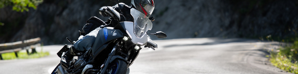 Motori_websim1