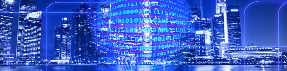 Olidata_websim6