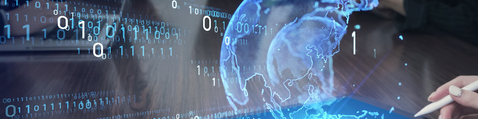 Olidata_websim8