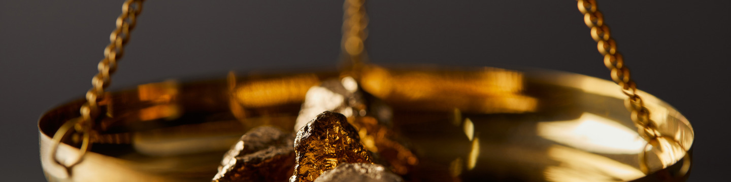 Oro_websim11
