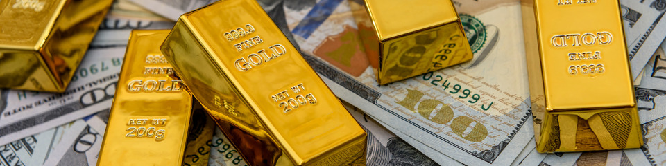oro_websim_5