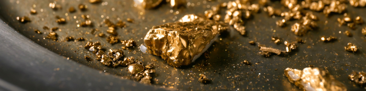 oro_websim_8