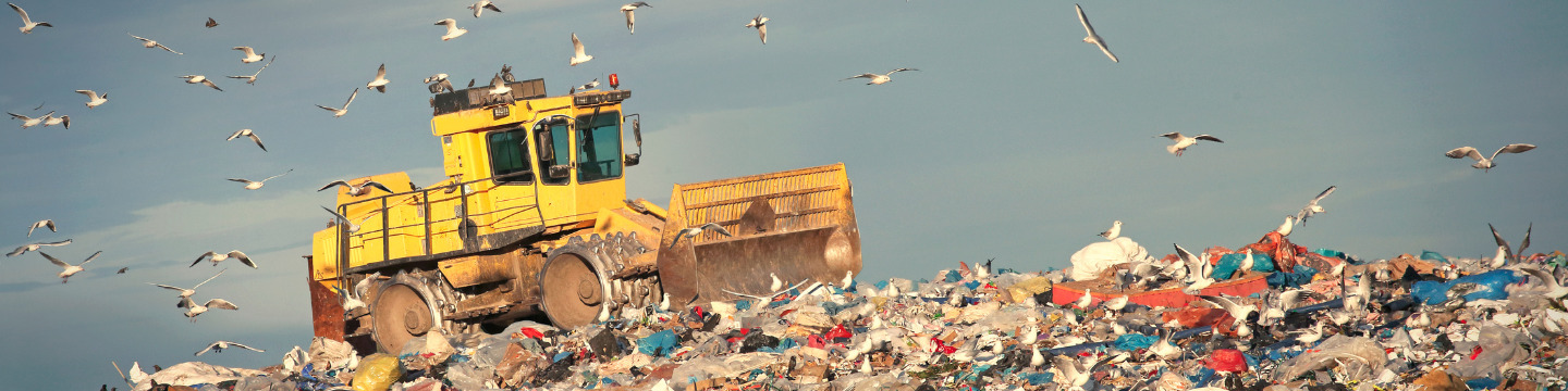 Bottiglie e lattine per il riciclo: Contenitori di plastica e metallo separati per la raccolta differenziata, pronti per il rici