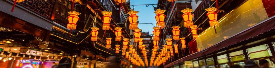 shanghai websim 3 Densità urbana di Shanghai dall’alto: Distesa di edifici e strade affollate che evidenziano l'estensione e la vivacità della cit