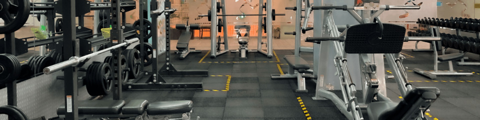 Palestra con pesi e attrezzi: Area fitness attrezzata con bilancieri, manubri e macchinari per esercizi.