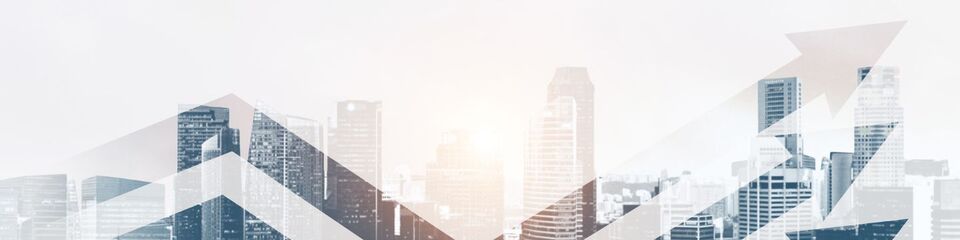 start up_websim_2