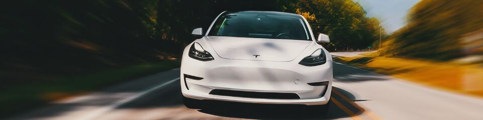 Tesla bianca che percorre distese naturali