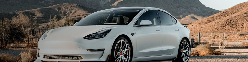 Tesla bianca