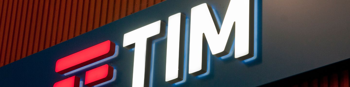 tim_websim