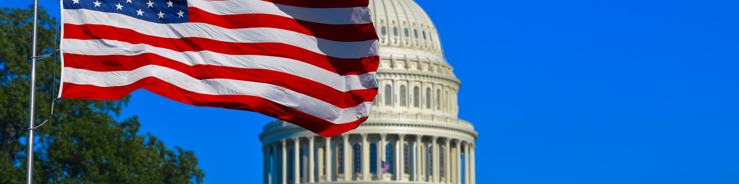Usa_websim13