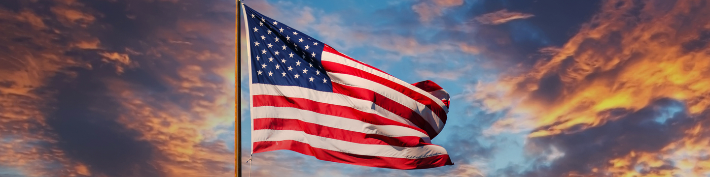 Usa_websim15