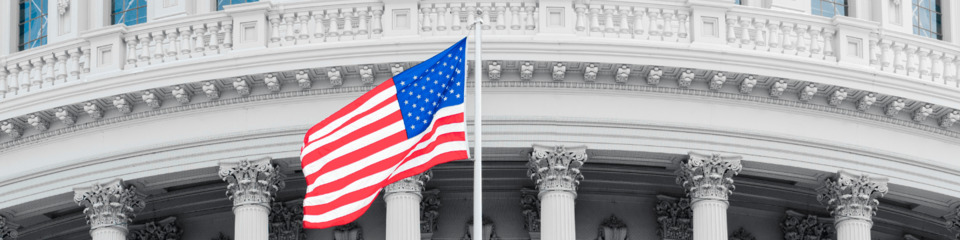 usa_websim20