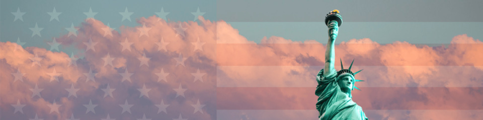 usa_websim21