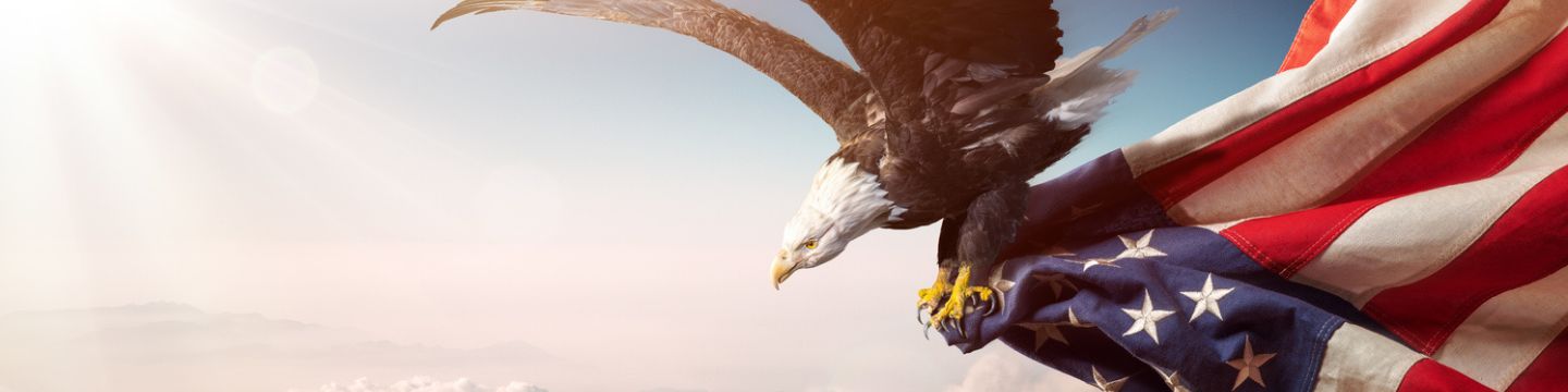 usa_websim_7