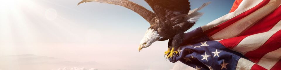 usa_websim_7