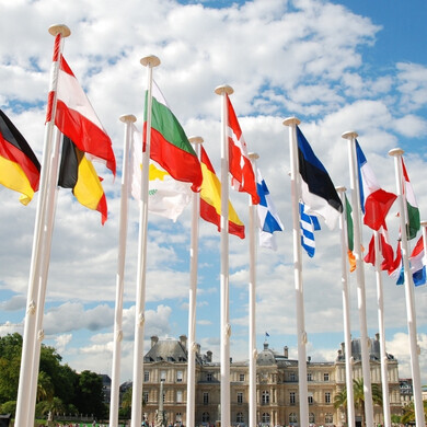 EU Flag and the 27 European Union country flags in front of the Palais du Luxembourg (Paris) where the French Senate is located. Please see related pictures: