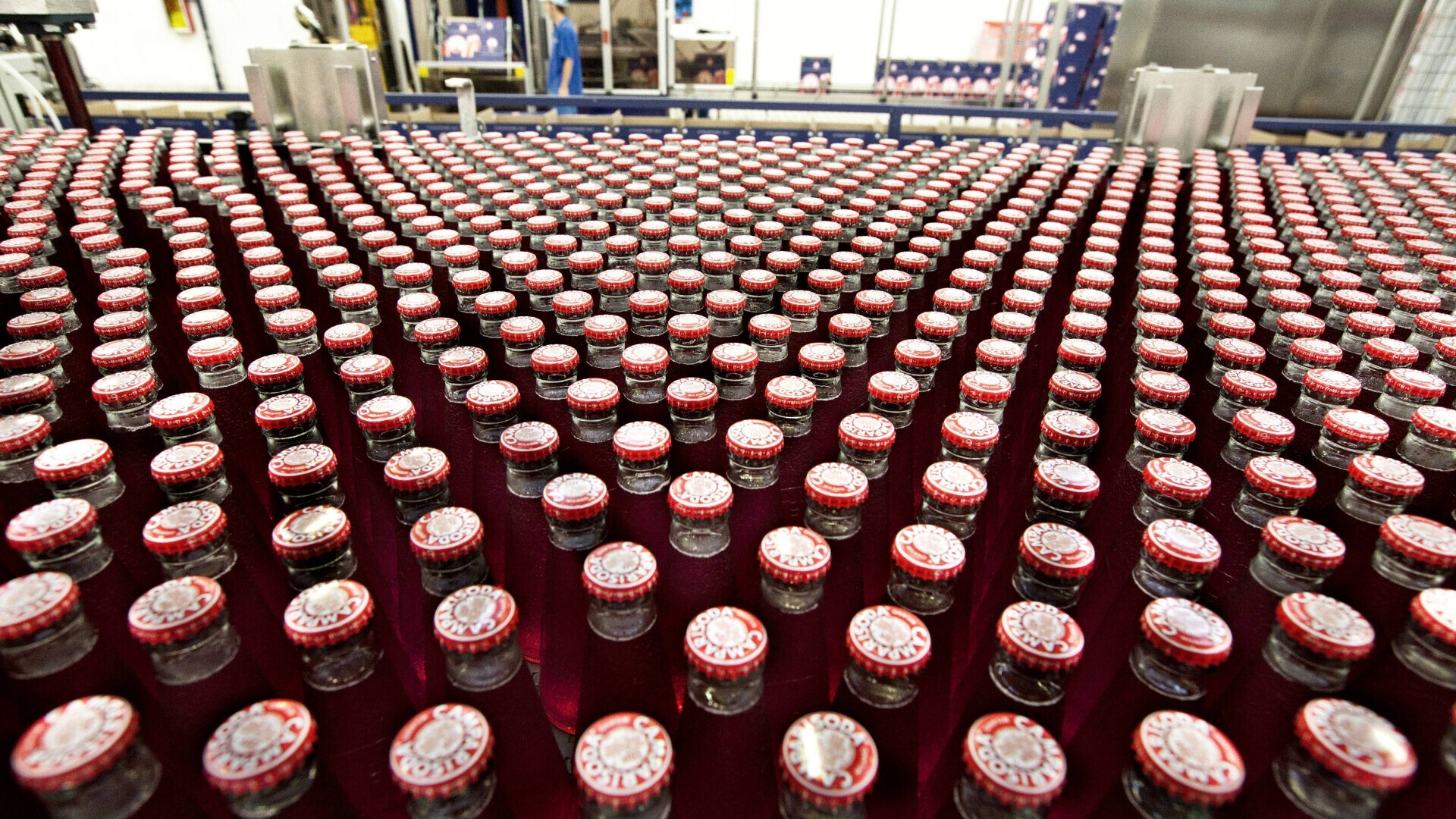 Bottigliette campari Una serie di bottigliette Campari ordinate con precisione, simbolo della cura artigianale e dell’inconfondibile rosso del brand.