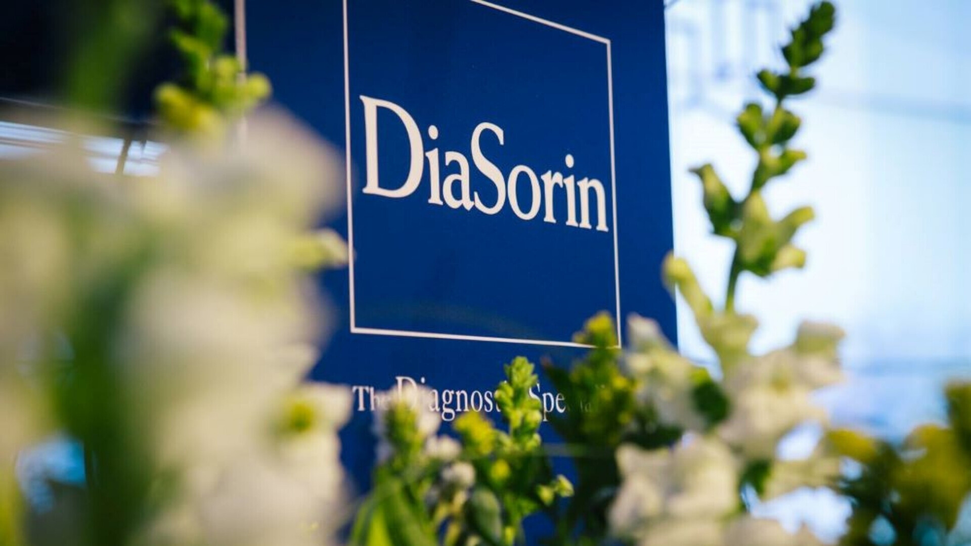 Logo ufficiale DiaSorin su sfondo neutro.