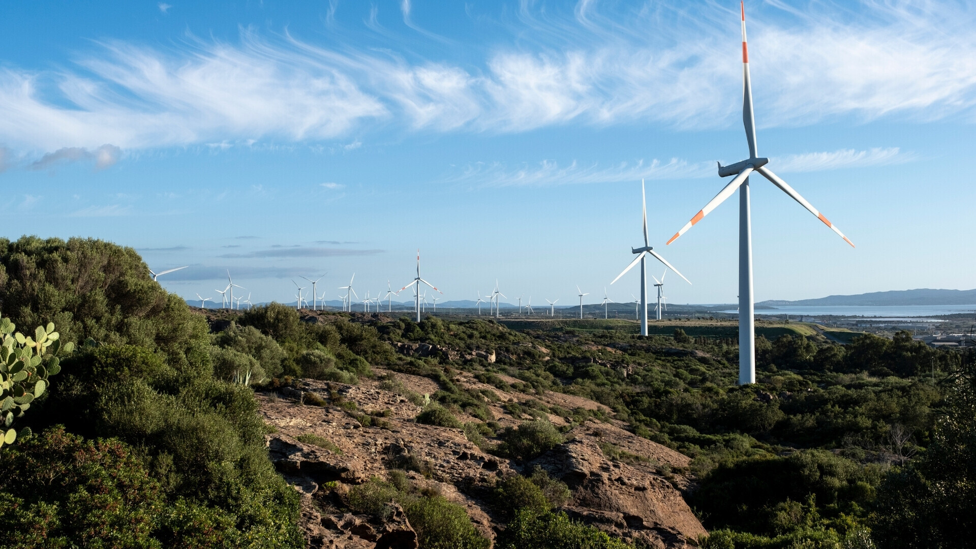 Parco eolico in paesaggio verdeggiante