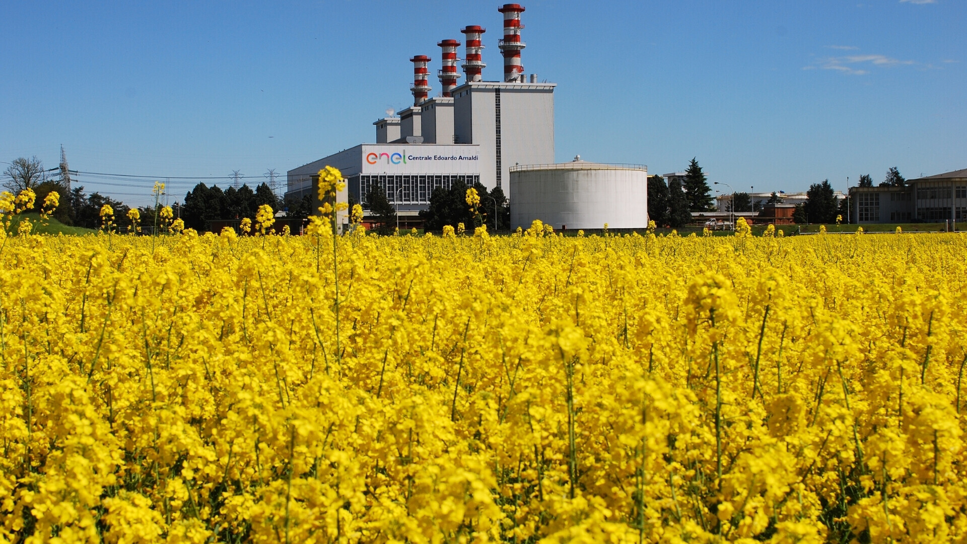 Enel, centrale edoardo arnaldi Vista esterna della centrale edoardo arnaldi di enel, inserita di un paesaggio floreale