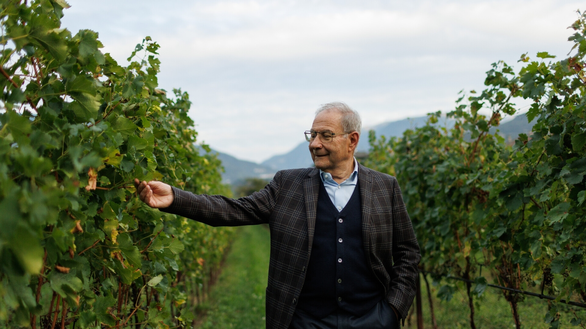 Sandro Boscaini passeggia tra i vigneti di Masi Agricola.