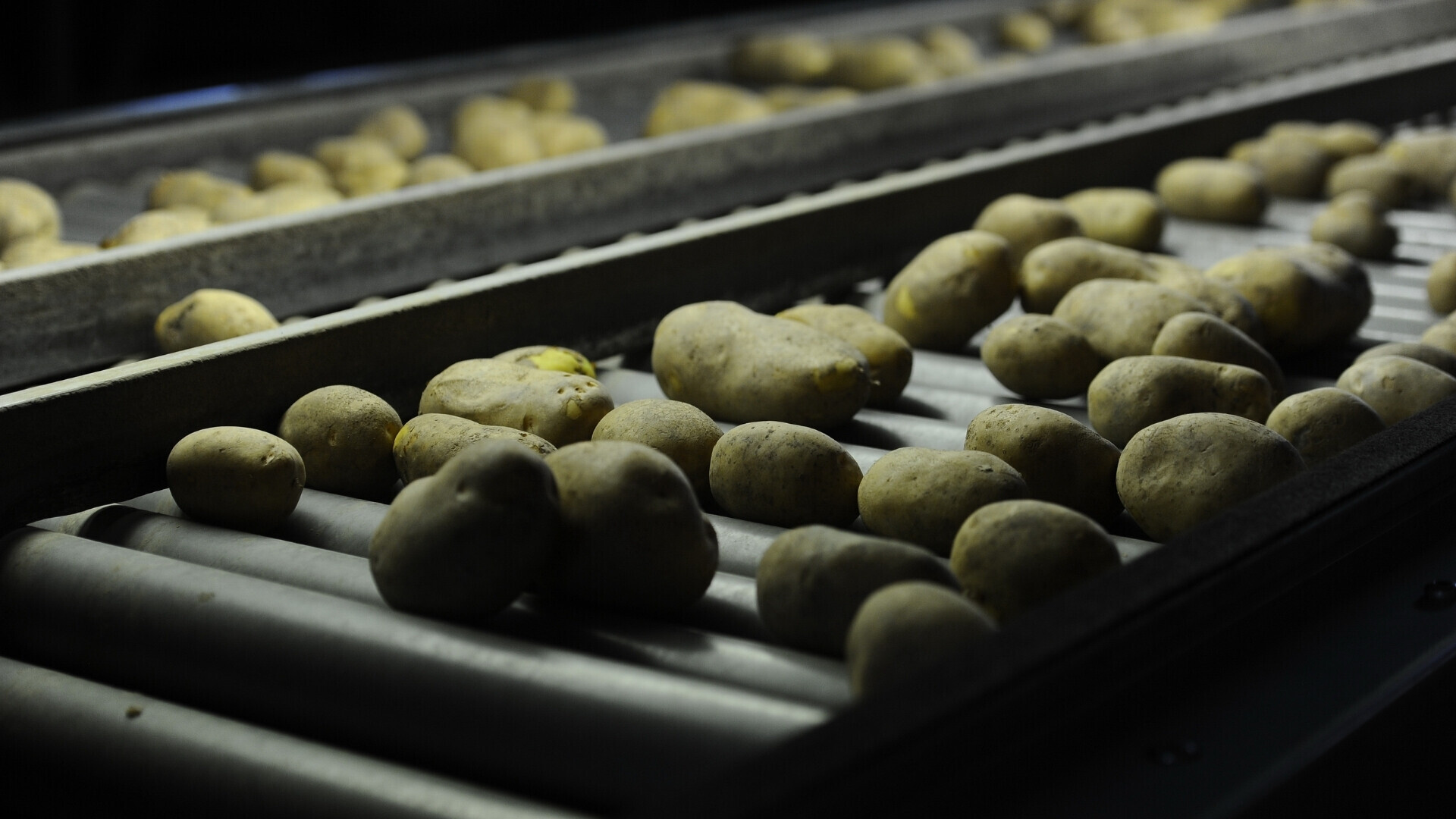 La Statua della Libertà che accoglie i visitatori con il suo messaggio di libertà e speranza