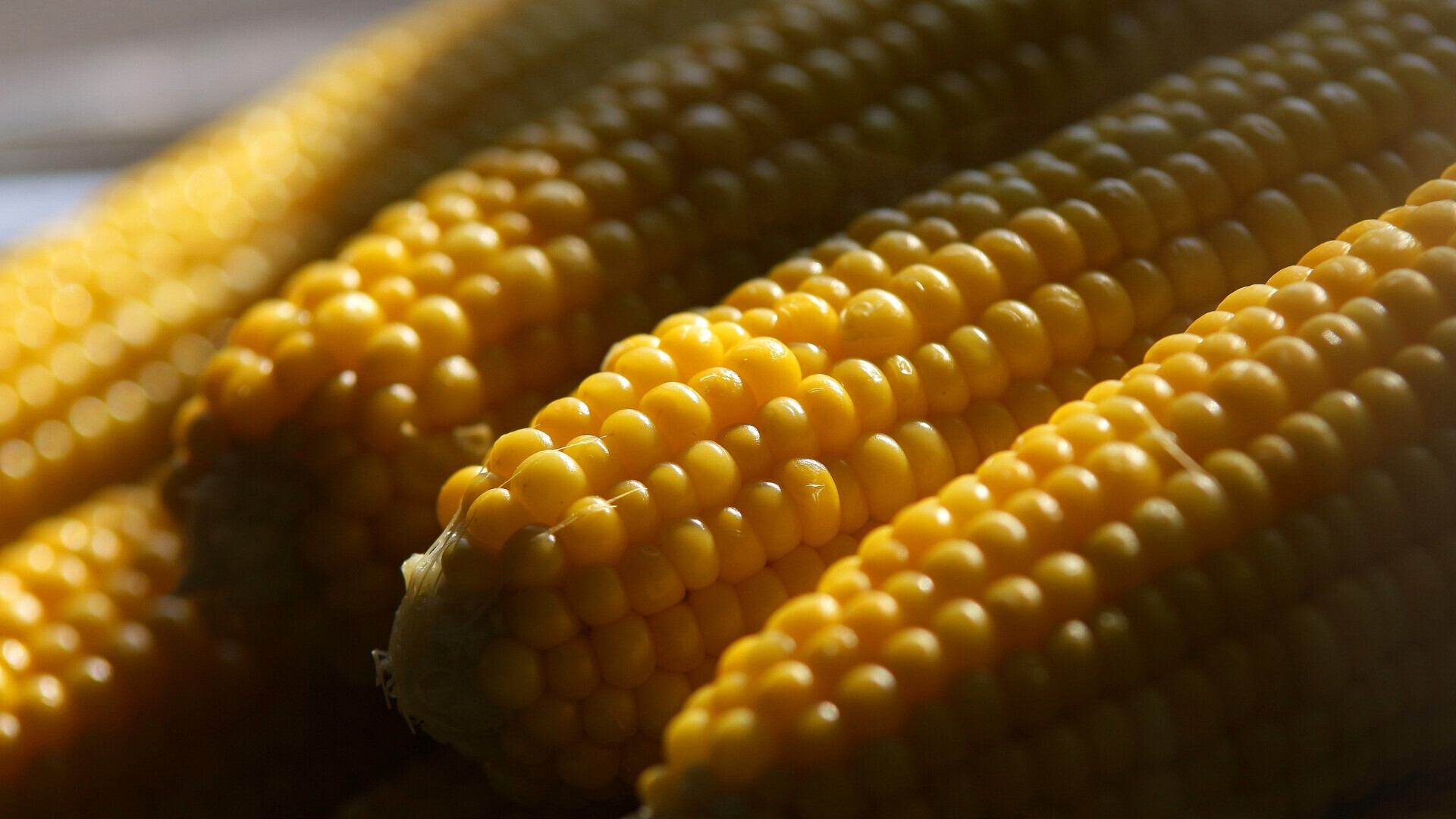 Alimentare_websim17 Alimentare_websim17