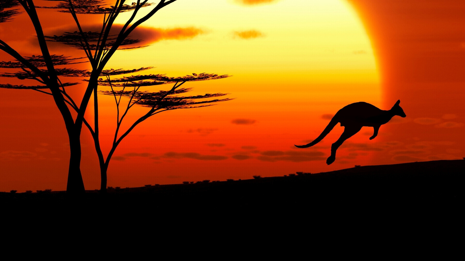 Usa_websim17 La bandiera americana sventola orgogliosa davanti a un campo di grano dorato, simbolo di libertà e prosperità