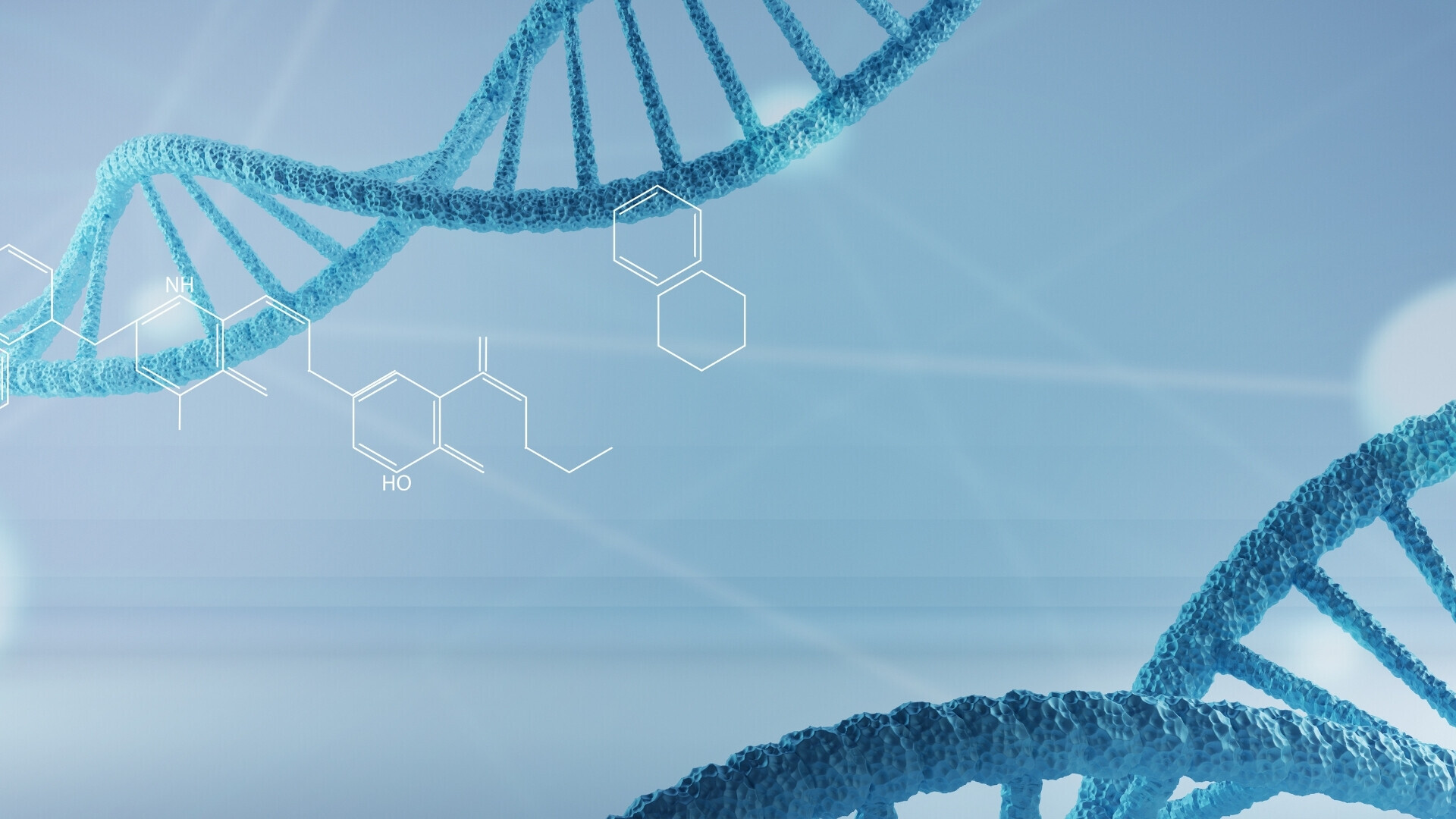 Rappresentazione della doppia elica del DNA