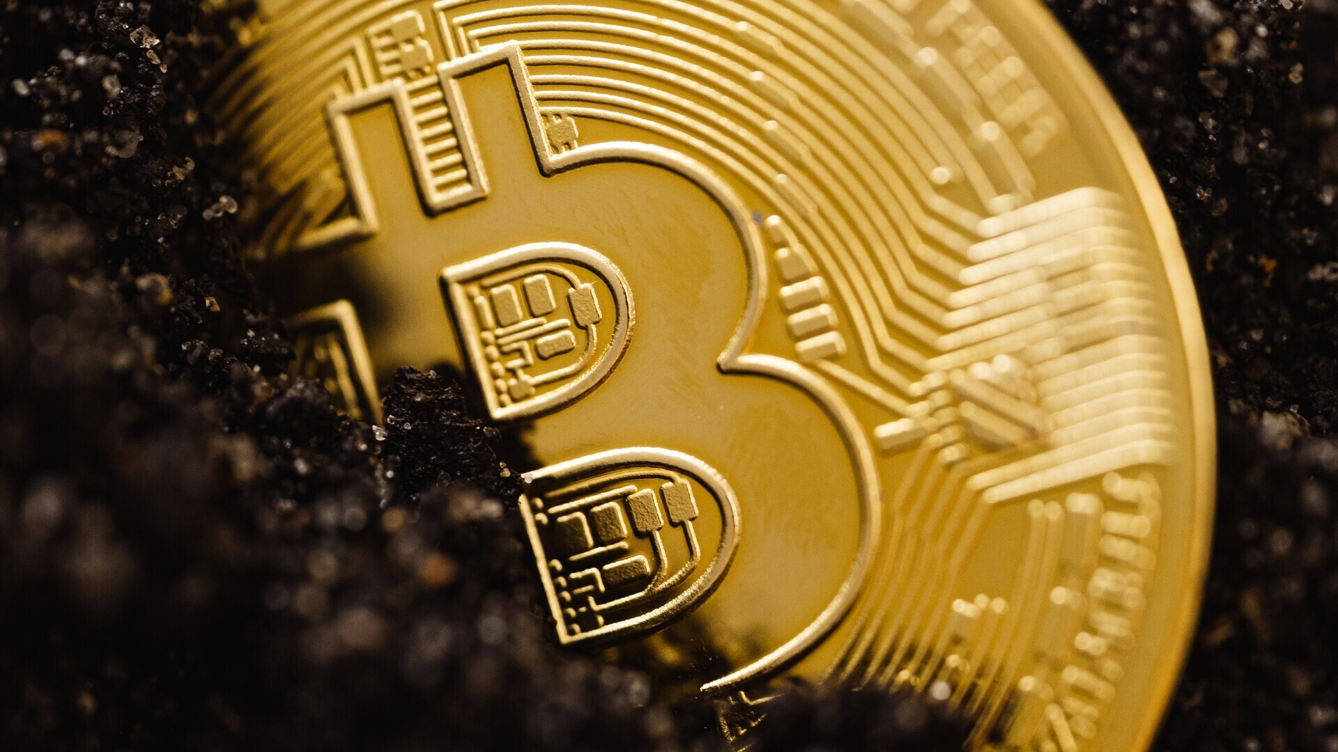 bitcoin_websim_9 bitcoin_websim_9