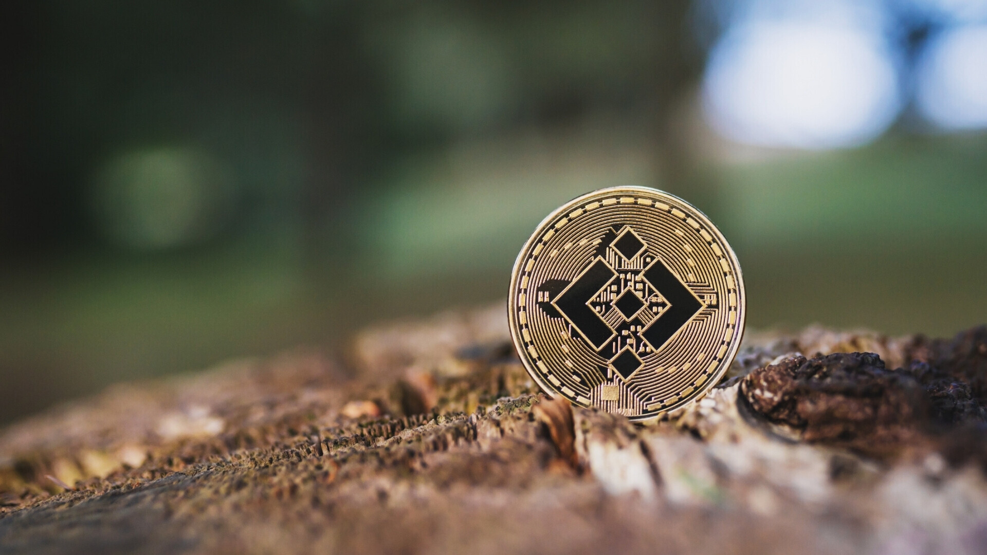 Primo piano di una moneta della criptovaluta Binance (BNB) posizionata su legno all’aperto, con sfondo naturale verde sfocato e spazio per testo.