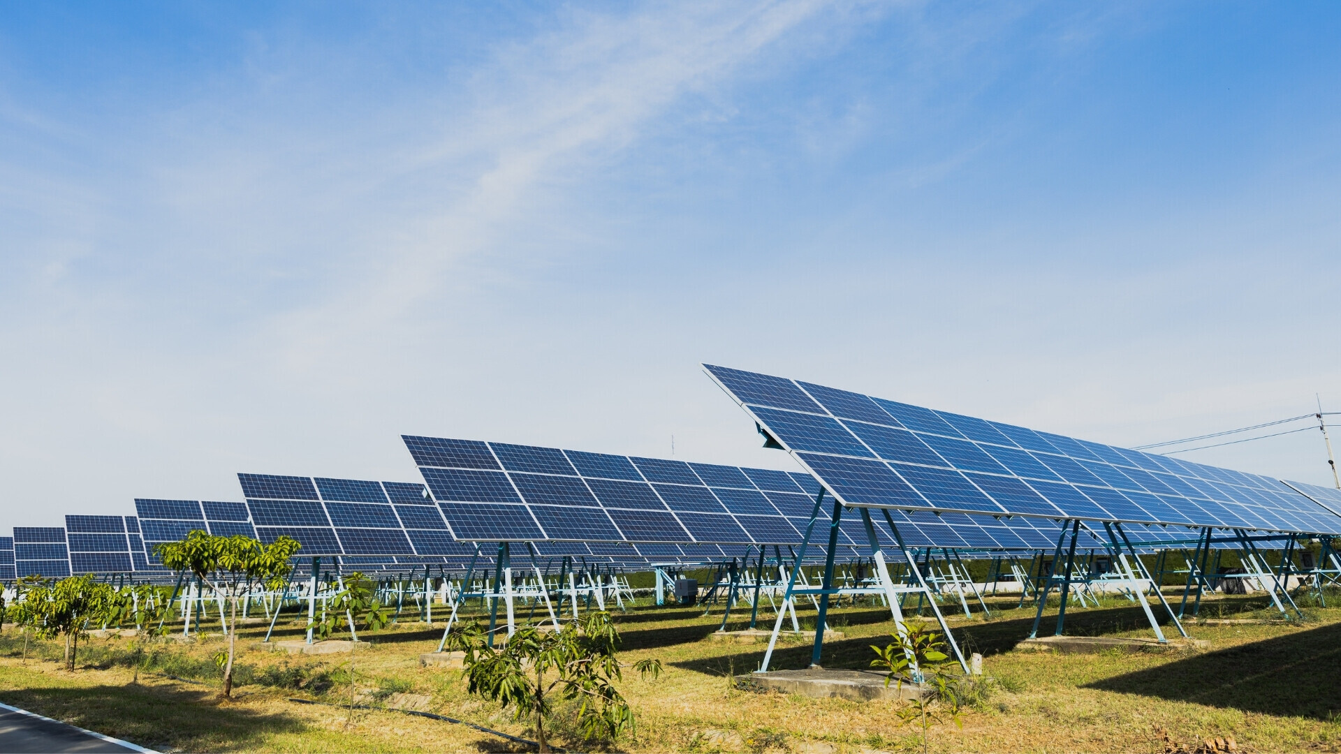 Pannelli fotovoltaici Pannelli fotovoltaici installati all’aperto che catturano l’energia solare