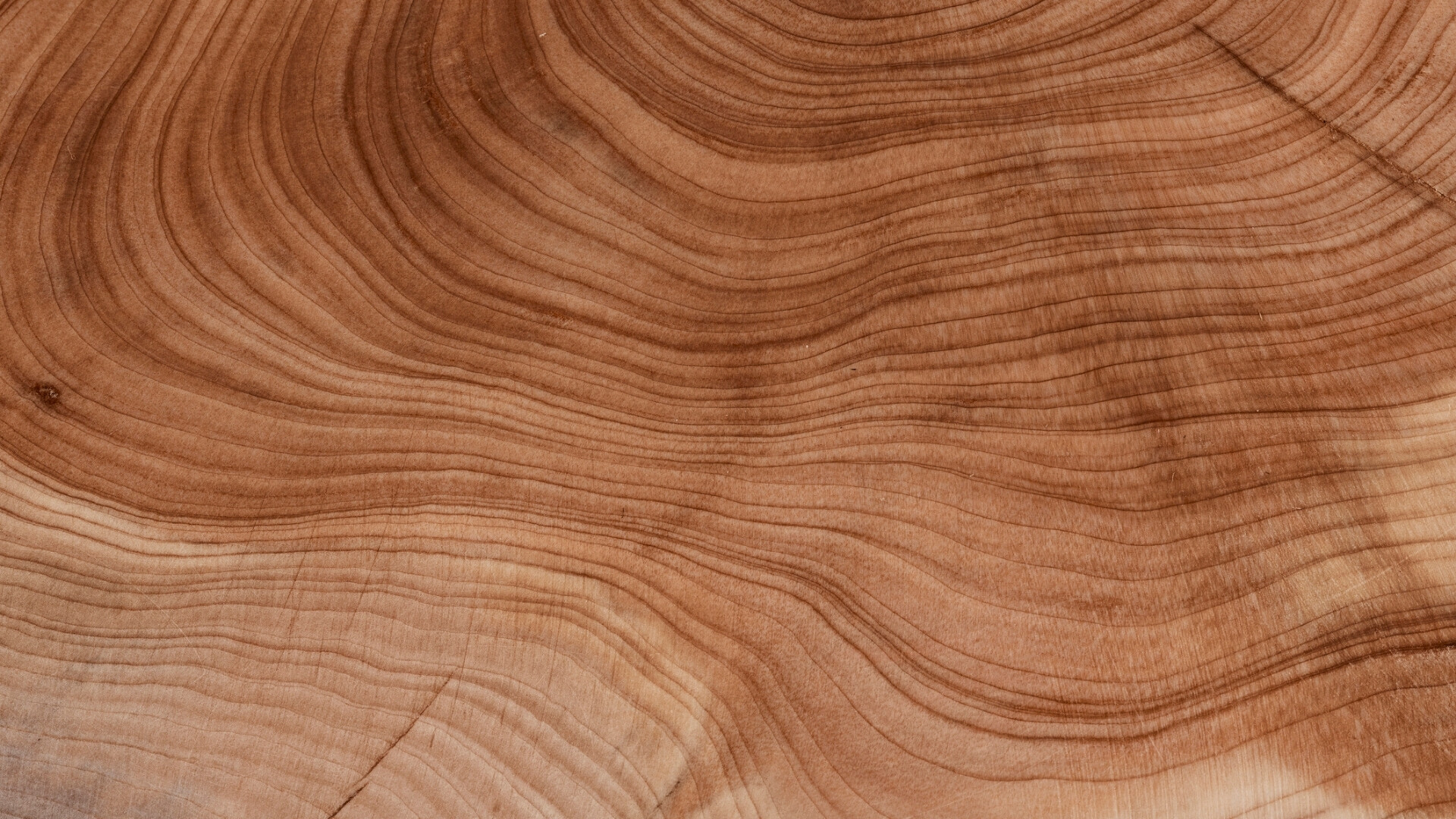 Vecchio legno usurato. Superficie di legno marrone invecchiato Vista dall’alto di una superficie in legno con texture dettagliata e motivo astratto. Primo piano in studio che mette in evidenza venature, pattern e materiale ricco. Legno di colore marrone scuro con linee più scure, stile flat lay ad alta risoluzione.