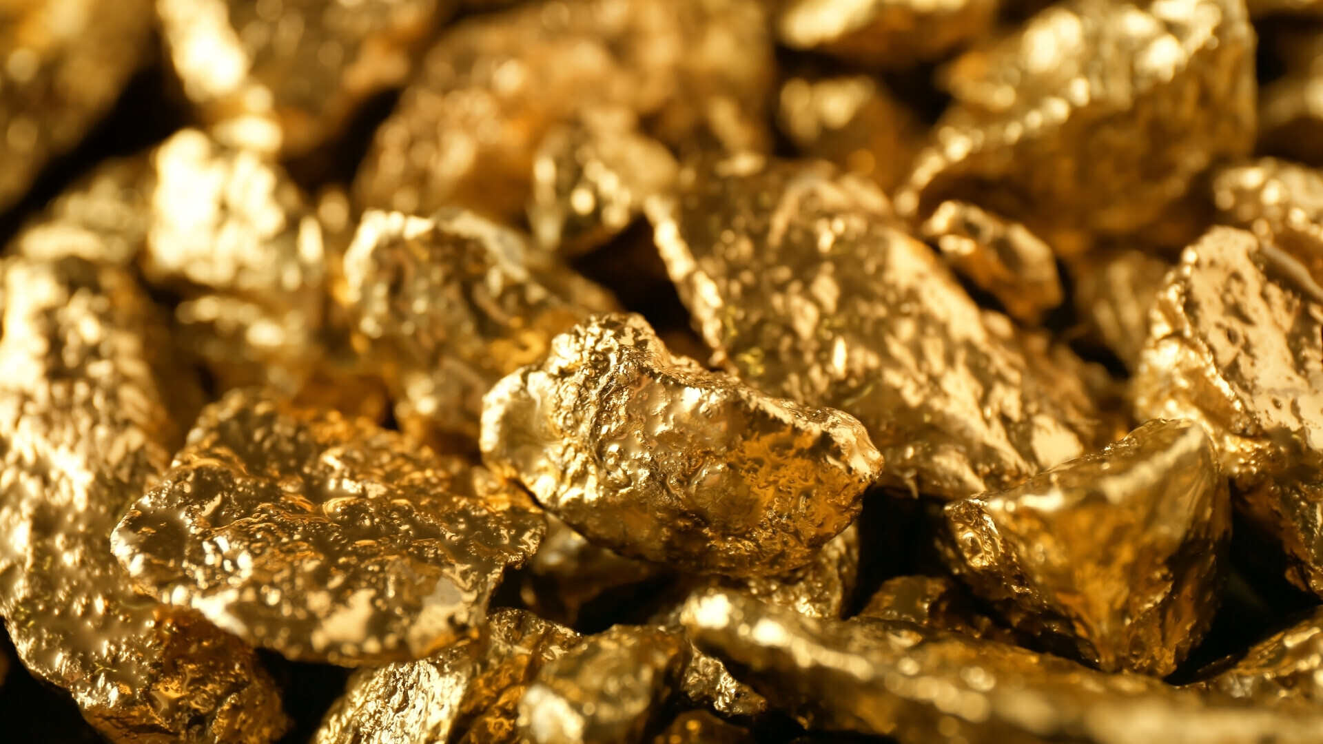 oro_websim_7 oro_websim_7