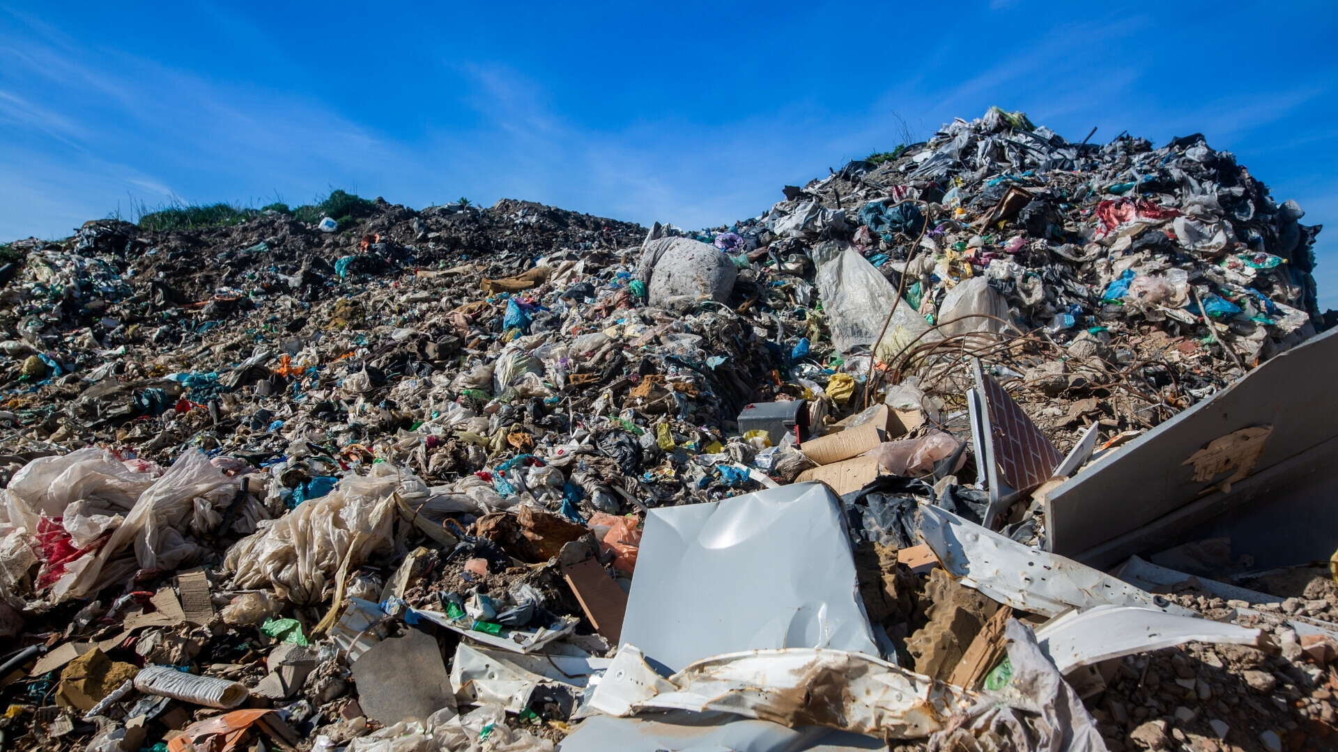 Rifiuti_websim5 Bidoni di raccolta differenziata: Contenitori colorati per plastica, vetro, carta e umido, disposti lungo una strada.