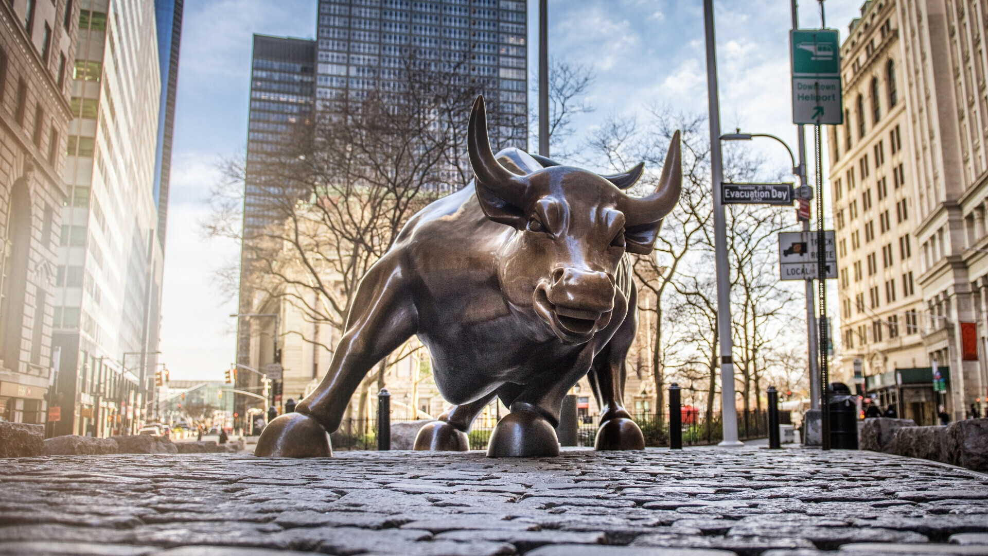 Iconica statua del toro simbolo di Wall Street vista dal davanti, su base in bronzo