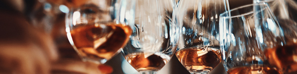 Vino_websim5