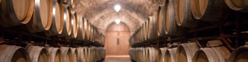 vino_websim_4