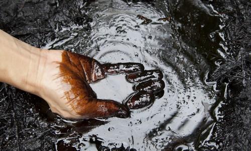 0134fbf2387648b9a80d4d97e4ec1509